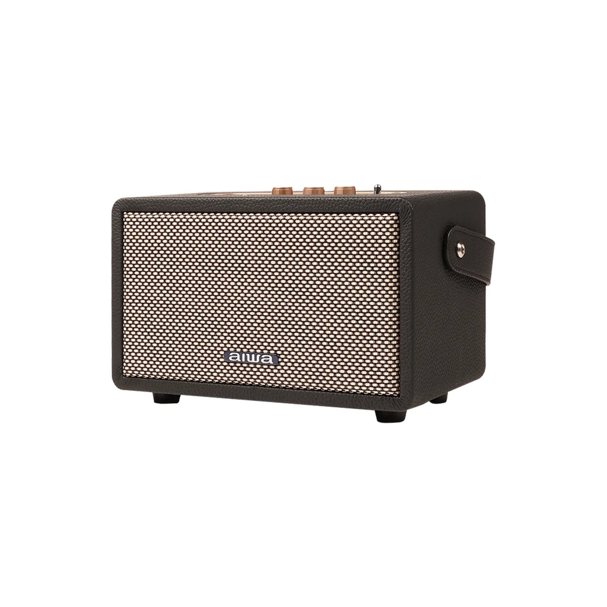 Aiwa RS-X100 speaker, three-quarter view