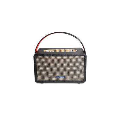 Aiwa RS-X100 Natsukasii Pro Bluetooth speaker with carry strap
