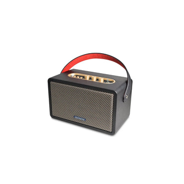 Aiwa RS-X100 speaker, angled