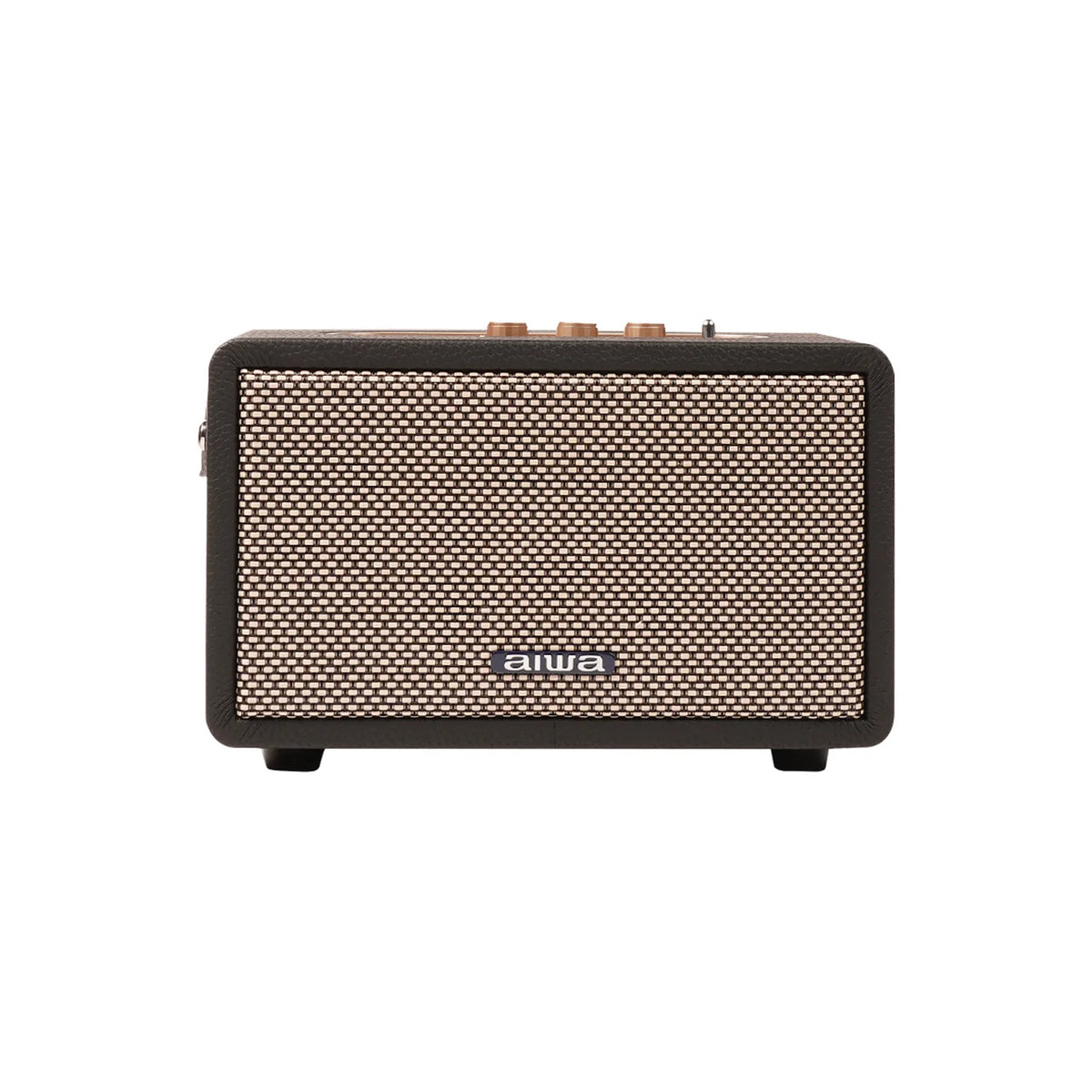 Aiwa RS-X100 speaker, front