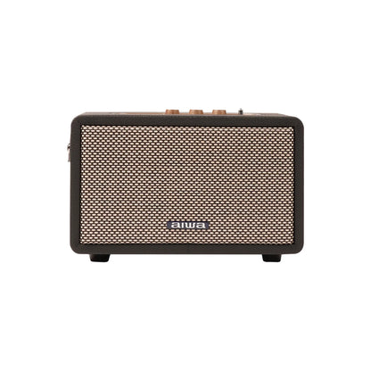 Aiwa RS-X100 speaker, front