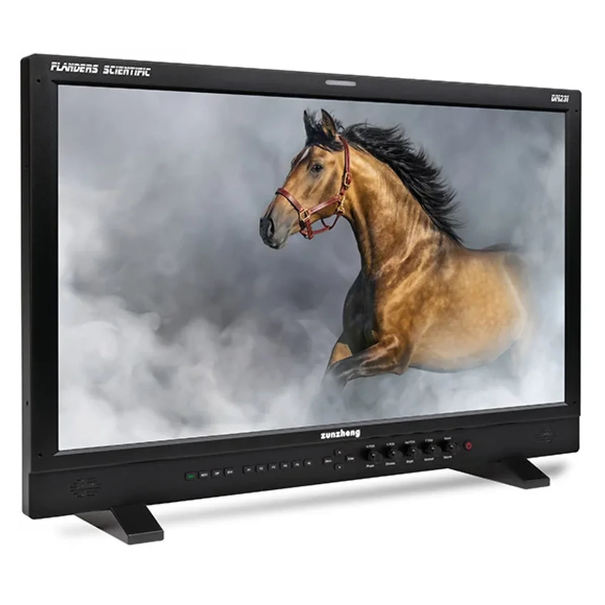 Flanders Scientific DM231 reference monitor with a horse displayed on screen and front controls