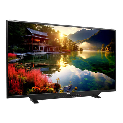 Flanders Scientific XMP550 55-inch mastering monitor with landscape display and stand